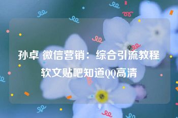 孙卓 微信营销：综合引流教程软文贴吧知道QQ高清