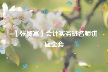 【张敬富】会计实务班名师讲座全套