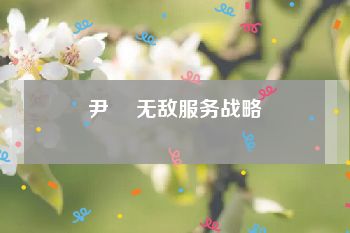 尹璠 无敌服务战略