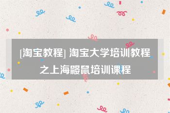 [淘宝教程] 淘宝大学培训教程之上海鼹鼠培训课程