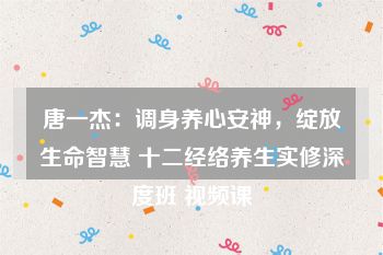 唐一杰：调身养心安神，绽放生命智慧 十二经络养生实修深度班 视频课