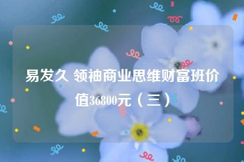易发久 领袖商业思维财富班价值36800元（三）