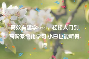 高效有趣学Excel，轻松入门到高阶系统化学习,小白也能听得懂