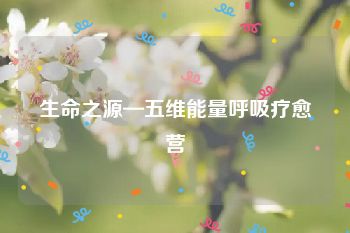 生命之源—五维能量呼吸疗愈营