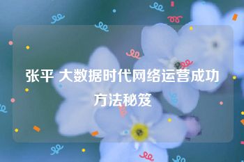 张平 大数据时代网络运营成功方法秘笈