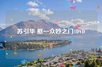 苏引华 框—众妙之门1DVD
