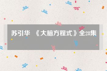 苏引华  《大脑方程式》全28集