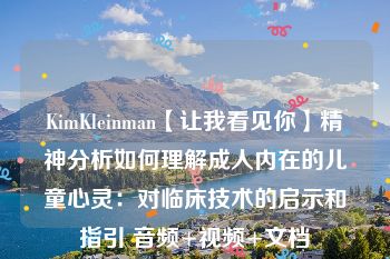 KimKleinman【让我看见你】精神分析如何理解成人内在的儿童心灵：对临床技术的启示和指引 音频+视频+文档