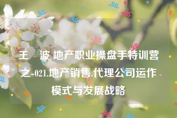 王　波 地产职业操盘手特训营之-021.地产销售.代理公司运作模式与发展战略
