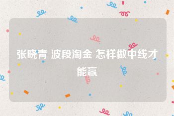 张晓青 波段淘金 怎样做中线才能赢