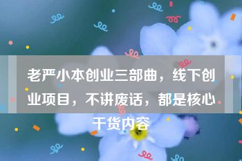 老严小本创业三部曲，线下创业项目，不讲废话，都是核心干货内容