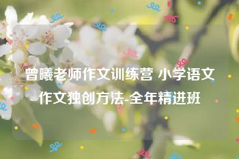 曾曦老师作文训练营 小学语文作文独创方法-全年精进班