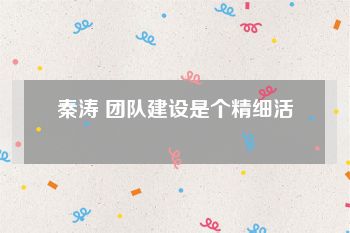 秦涛 团队建设是个精细活