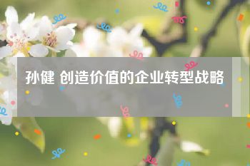 孙健 创造价值的企业转型战略