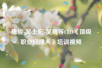 唐骏-吴士宏-吴鹰等CEO《顶级职业经理人》培训视频
