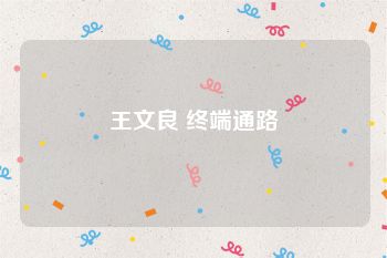 王文良 终端通路