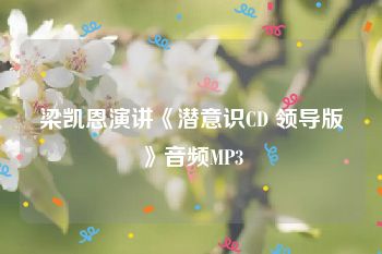 梁凯恩演讲《潜意识CD 领导版》音频MP3