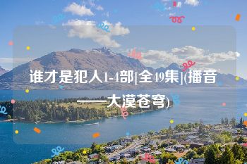 谁才是犯人1-4部[全49集](播音——大漠苍穹)