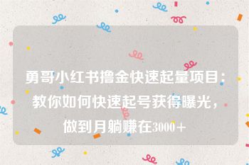 勇哥小红书撸金快速起量项目：教你如何快速起号获得曝光，做到月躺赚在3000+