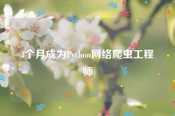 3个月成为Python网络爬虫工程师