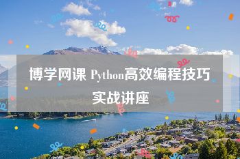 博学网课 Python高效编程技巧实战讲座