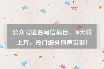 公众号匿名写信项目，30天赚上万，冷门细分闷声发财！