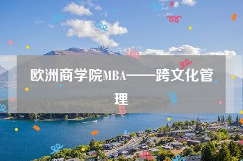 欧洲商学院MBA——跨文化管理