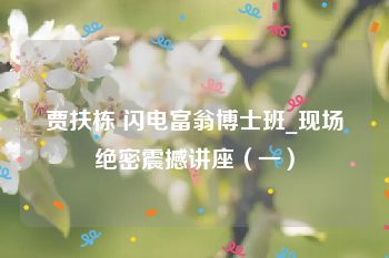 贾扶栋 闪电富翁博士班_现场绝密震撼讲座（一）