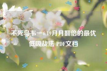 不死鸟韦一6.19月月翻倍的最优低吸战法 PDF文档