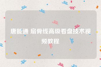 唐能通 扇骨线高级看盘技术视频教程
