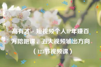 高有才·短视频个人IP年赚百万陪跑课，五大视频输出方向（123节视频课）