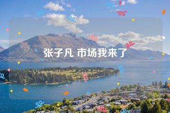 张子凡 市场我来了