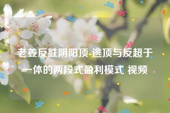 老姜反胜阴阳顶-逃顶与反超于一体的两段式盈利模式 视频