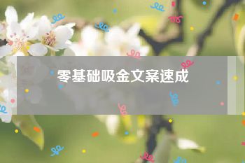 零基础吸金文案速成