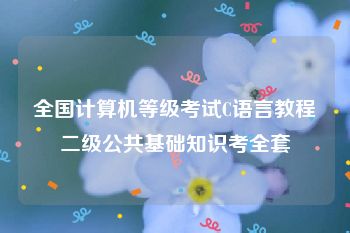 全国计算机等级考试C语言教程二级公共基础知识考全套