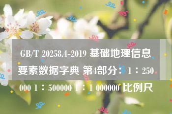 GB/T 20258.4-2019 基础地理信息要素数据字典 第4部分：1∶250000 1∶500000 1∶1 000000 比例尺