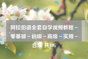阿拉伯语全套自学视频教程－零基础－初级－高级－实用－合集 共10G