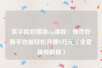 某学院自媒体vip课程：操作好新手也能轻松月赚N万元（全套视频教程）