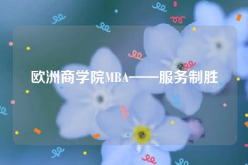 欧洲商学院MBA——服务制胜