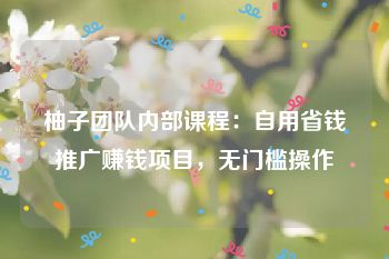 柚子团队内部课程：自用省钱推广赚钱项目，无门槛操作