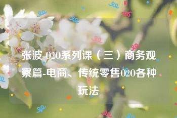 张波 O2O系列课（三）商务观察篇-电商、传统零售O2O各种玩法