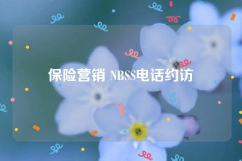 保险营销 NBSS电话约访