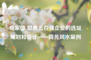 专家团 世界五百强企业的选址规划和设计——商务风水案例