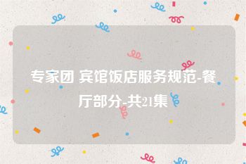 专家团 宾馆饭店服务规范-餐厅部分-共21集