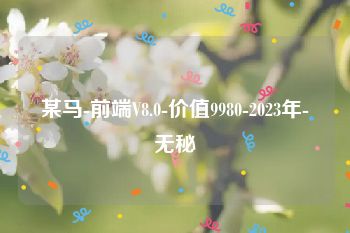 某马-前端V8.0-价值9980-2023年-无秘