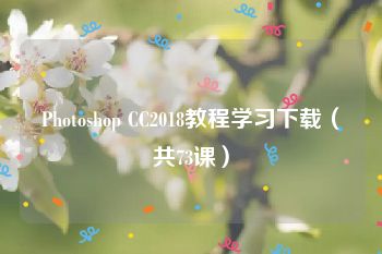 Photoshop CC2018教程学习下载（共73课）