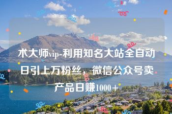 术大师vip-利用知名大站全自动日引上万粉丝，微信公众号卖产品日赚1000+