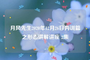 月风先生2020年12月26日内训篇之形态讲解讲座 2集