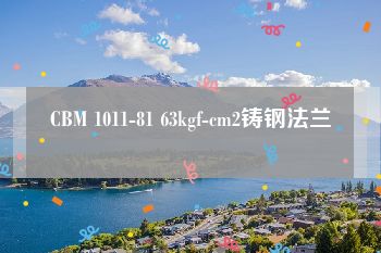 CBM 1011-81 63kgf-cm2铸钢法兰