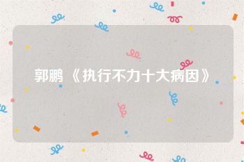 郭鹏 《执行不力十大病因》